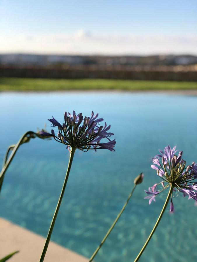 Sunset Oasis Villa L-Imgarr Bagian luar foto